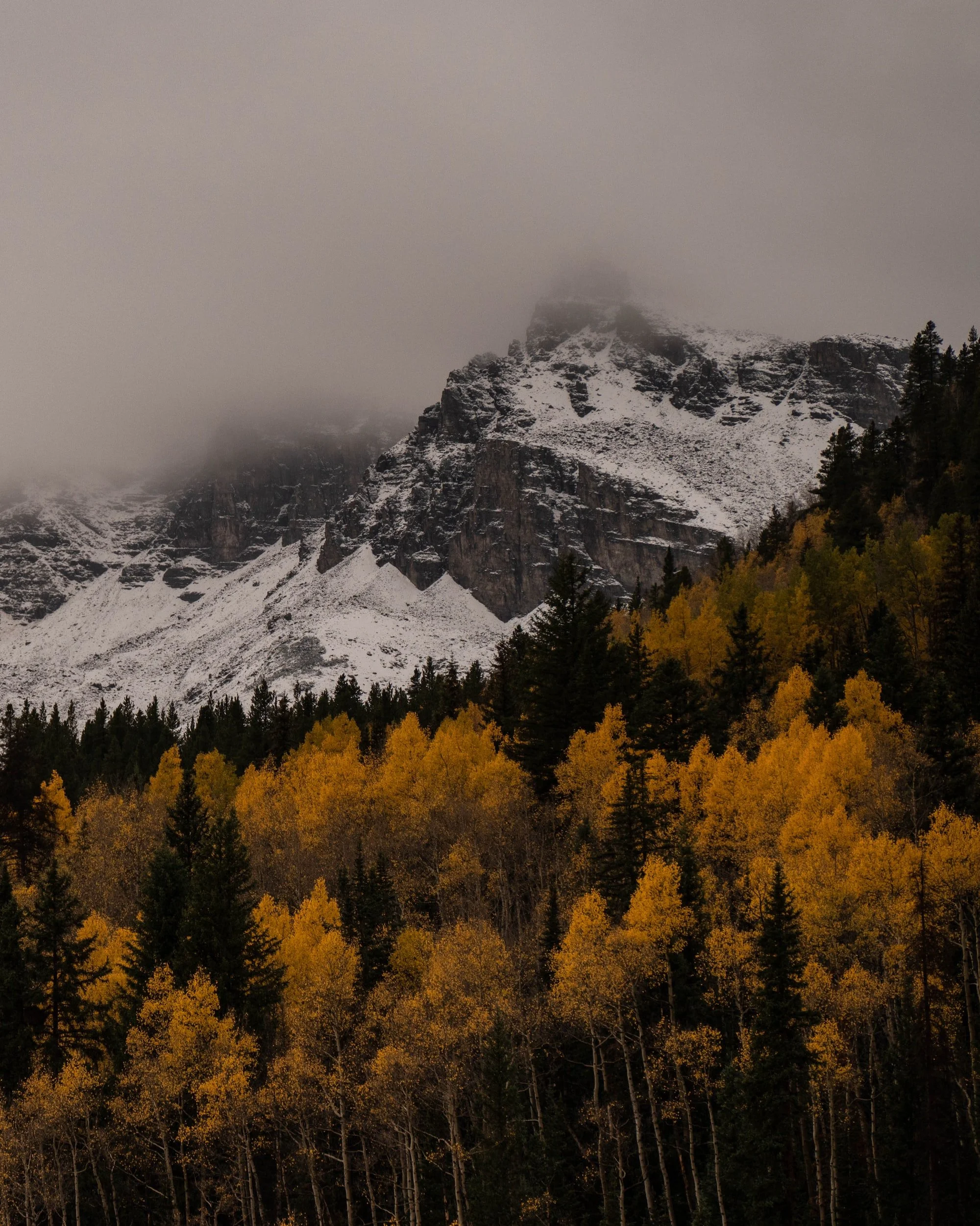 GROWTH POINTS WITH DR. MC