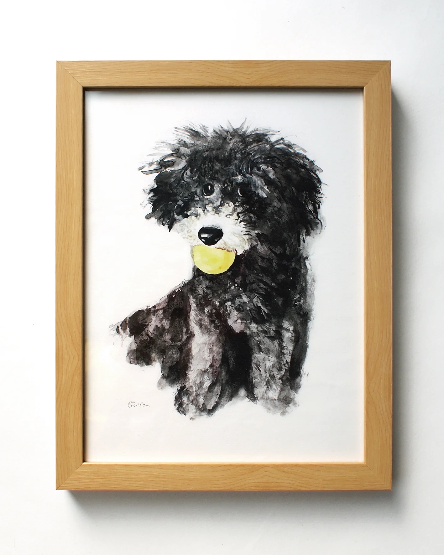 yq black puppy 2.JPG