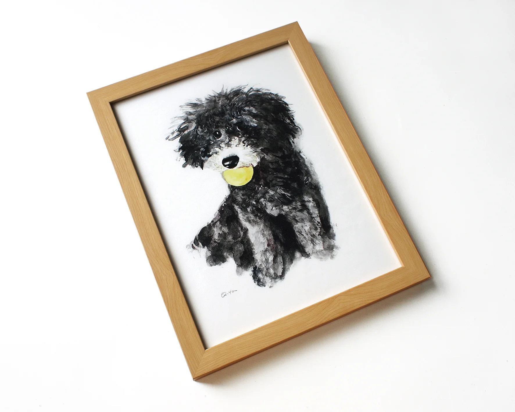 yq black puppy 4.JPG
