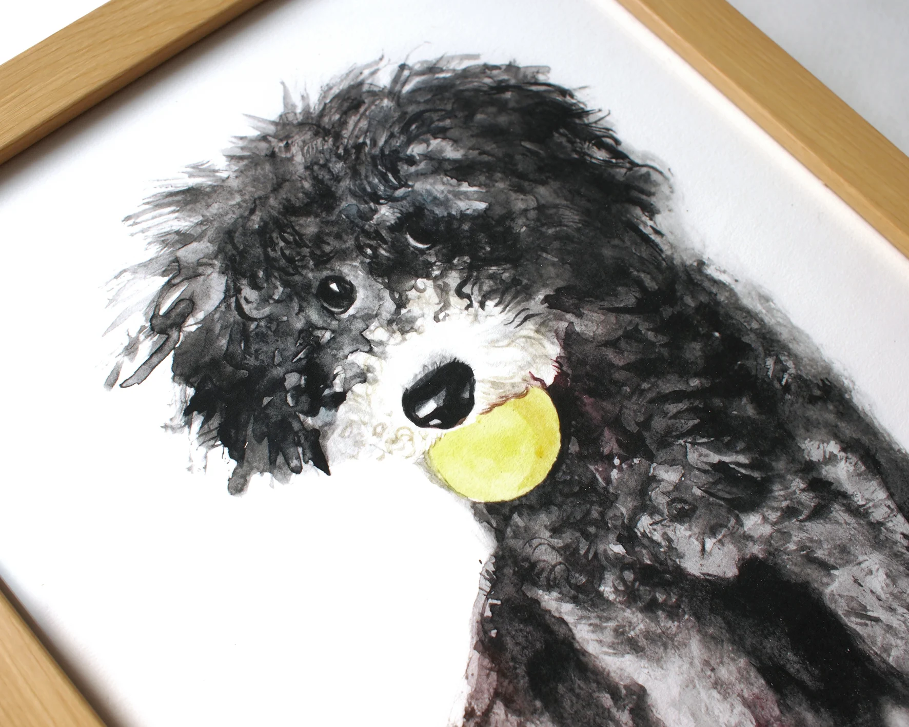yq black puppy 5.JPG