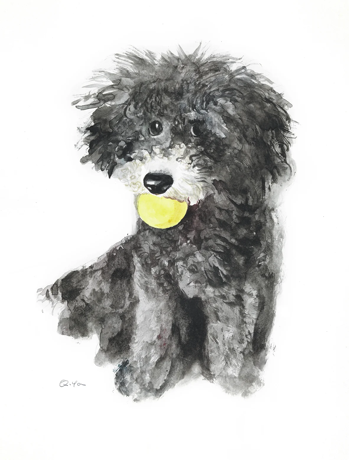 yq black puppy.jpg