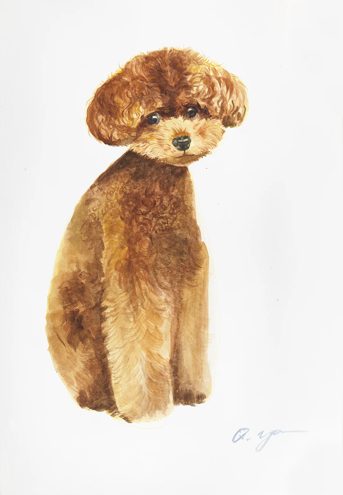 yq brown puppy.jpg