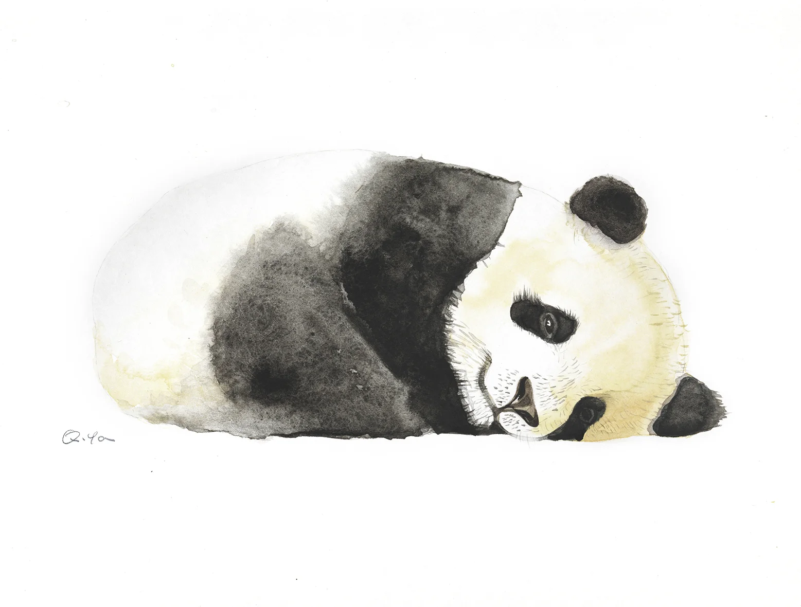 yq panda.jpg