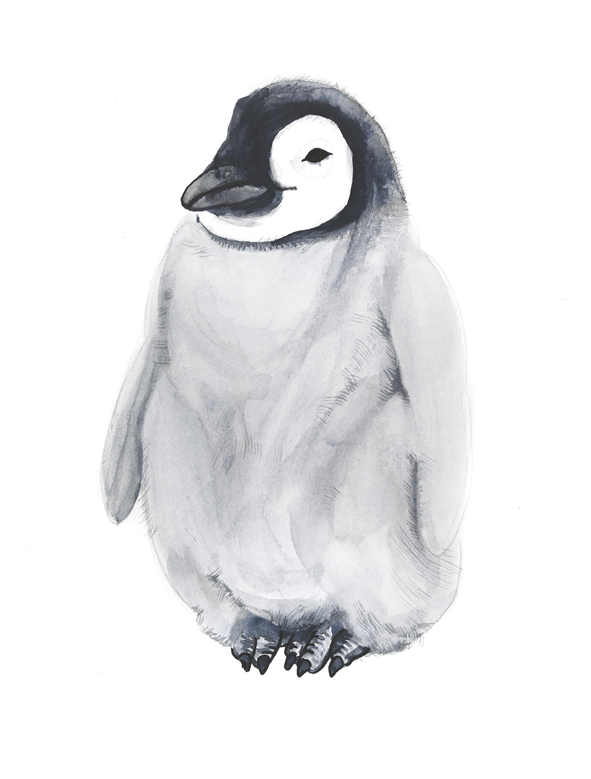 yq penguin 1.jpg