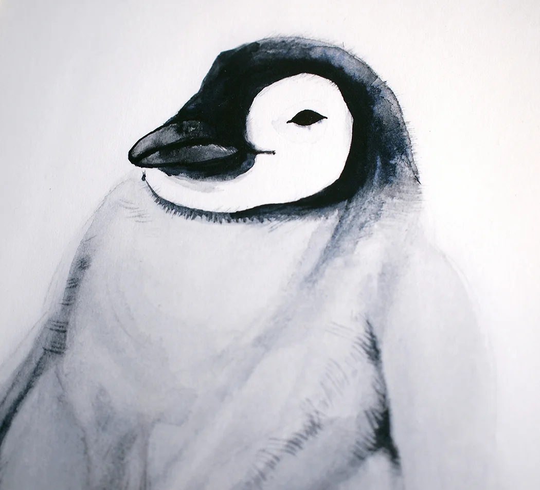 yq penguin 3.jpg