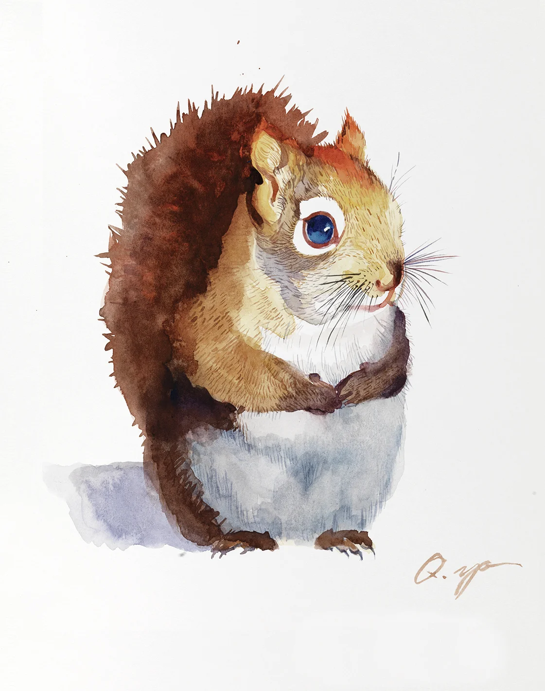 yq squirrel 1.jpg