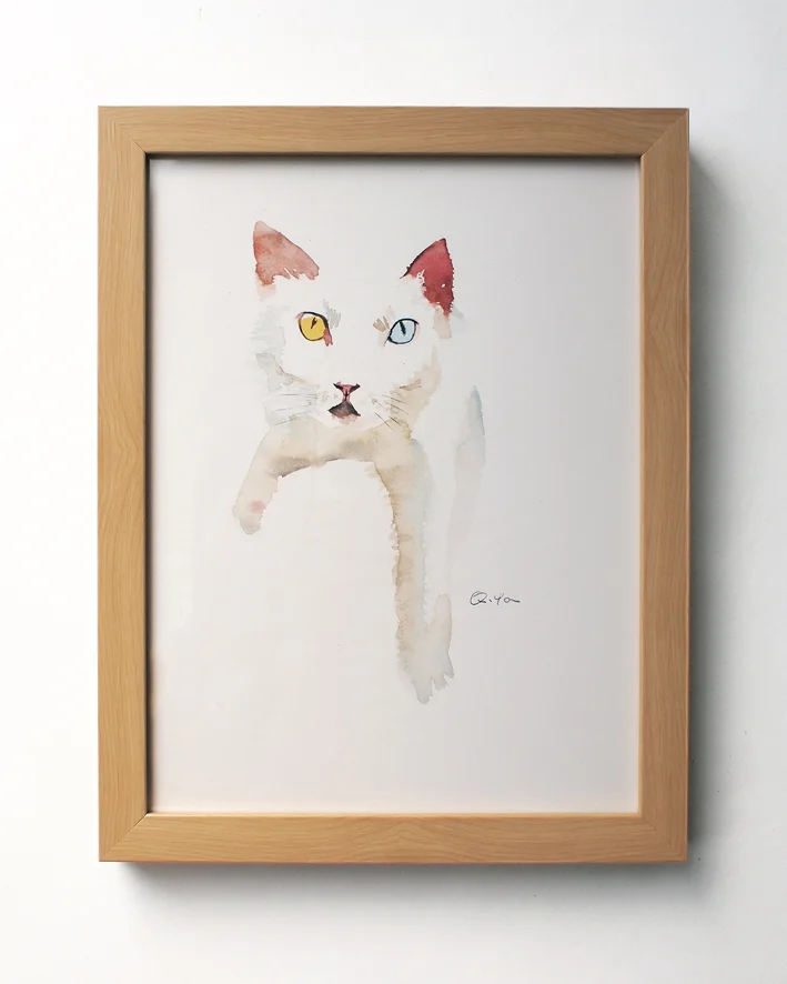 yq white cat 2.JPG
