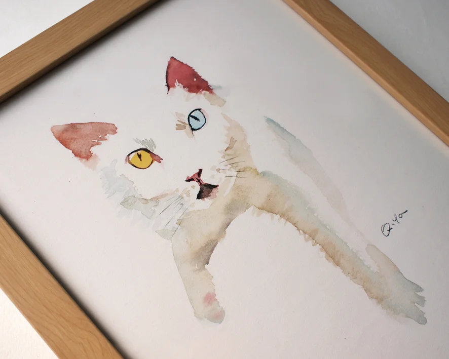 yq white cat 4.JPG
