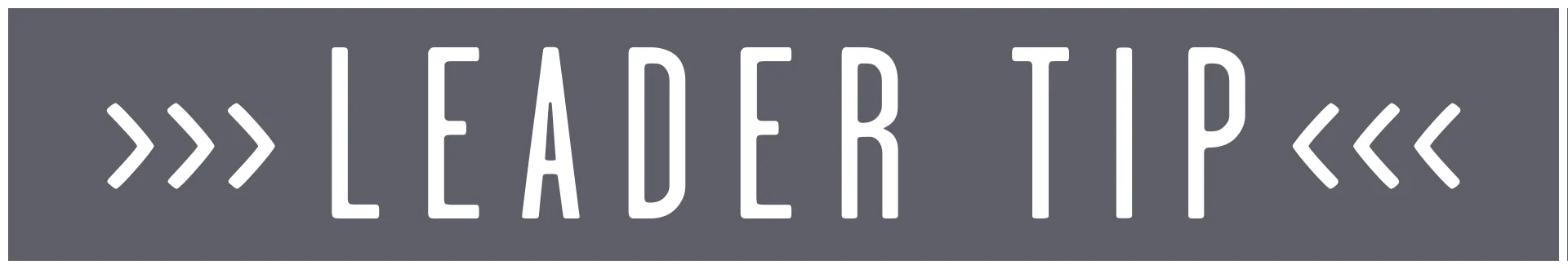 leader tip box.jpg