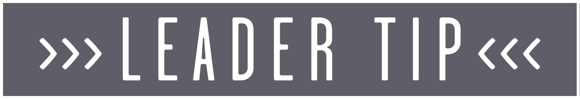 leader tip box.jpg