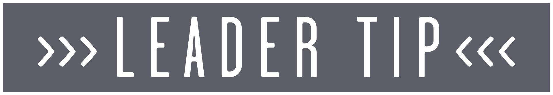 leader tip box.png