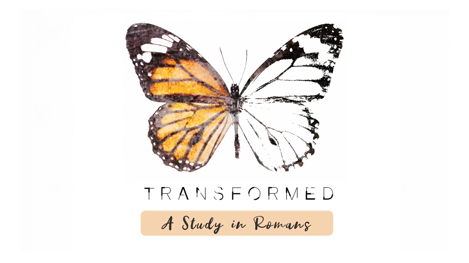 Transformed Study.jpg