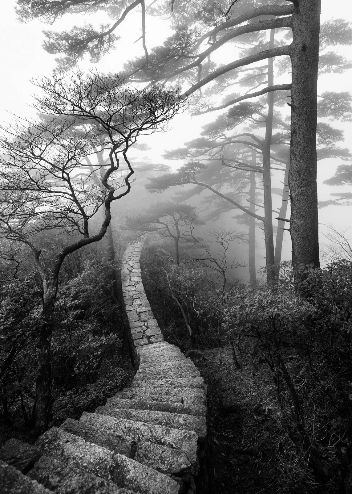 20160418_CHINA_0305-Edit-2.jpg