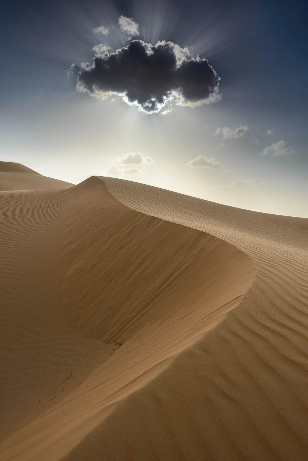 Rub Al Khali desert, UAE