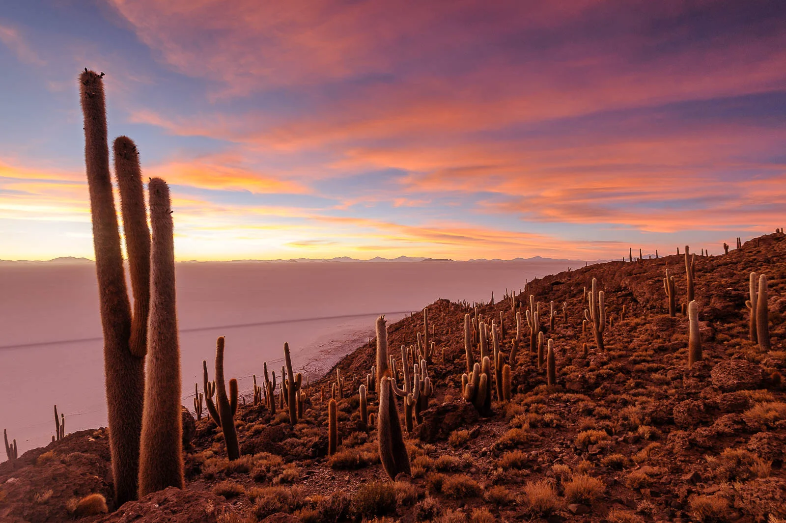 Isla Incahuasi, Bolivia