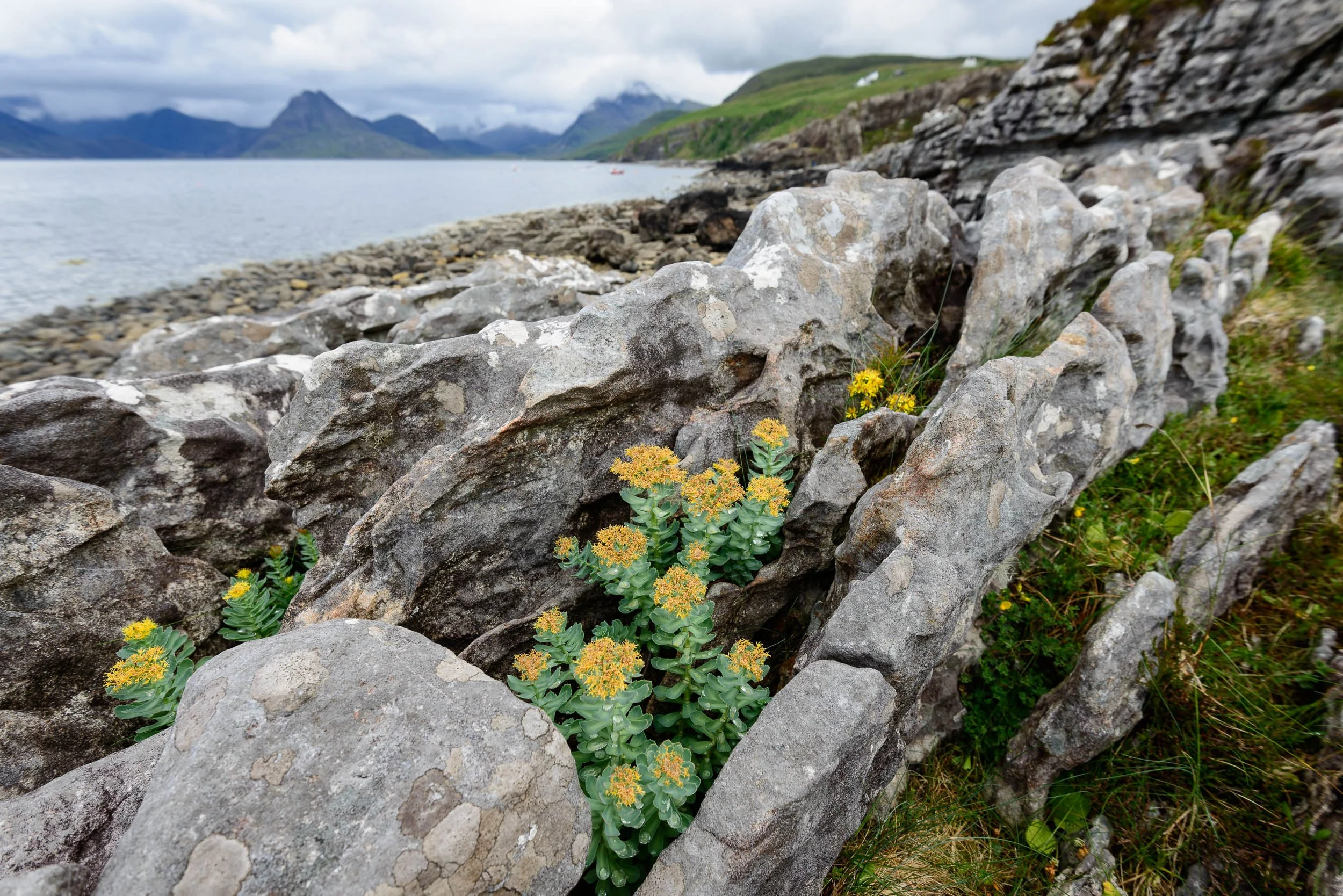 20120619_SKYE_0556.jpg