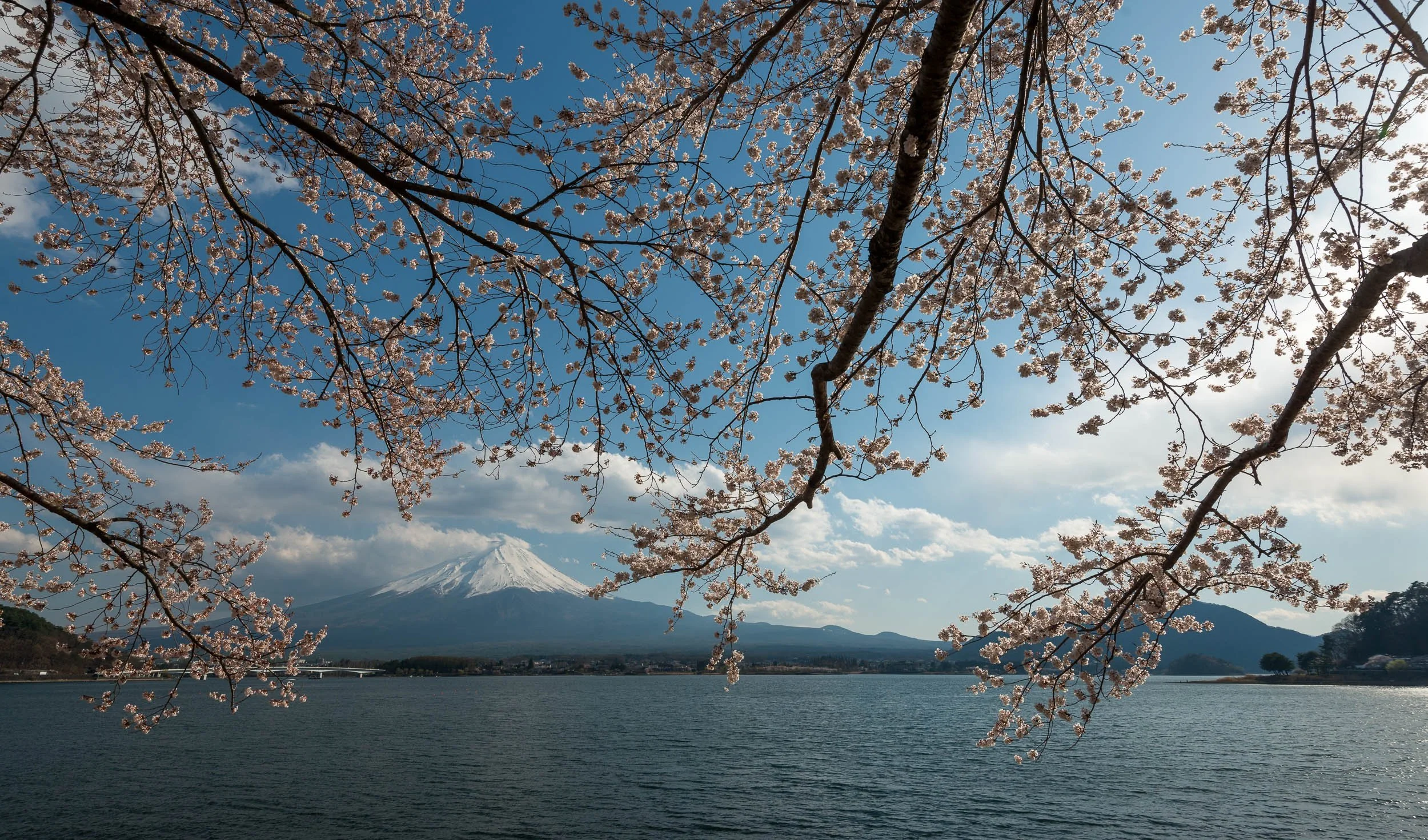 20130412_JAPAN_3359.jpg
