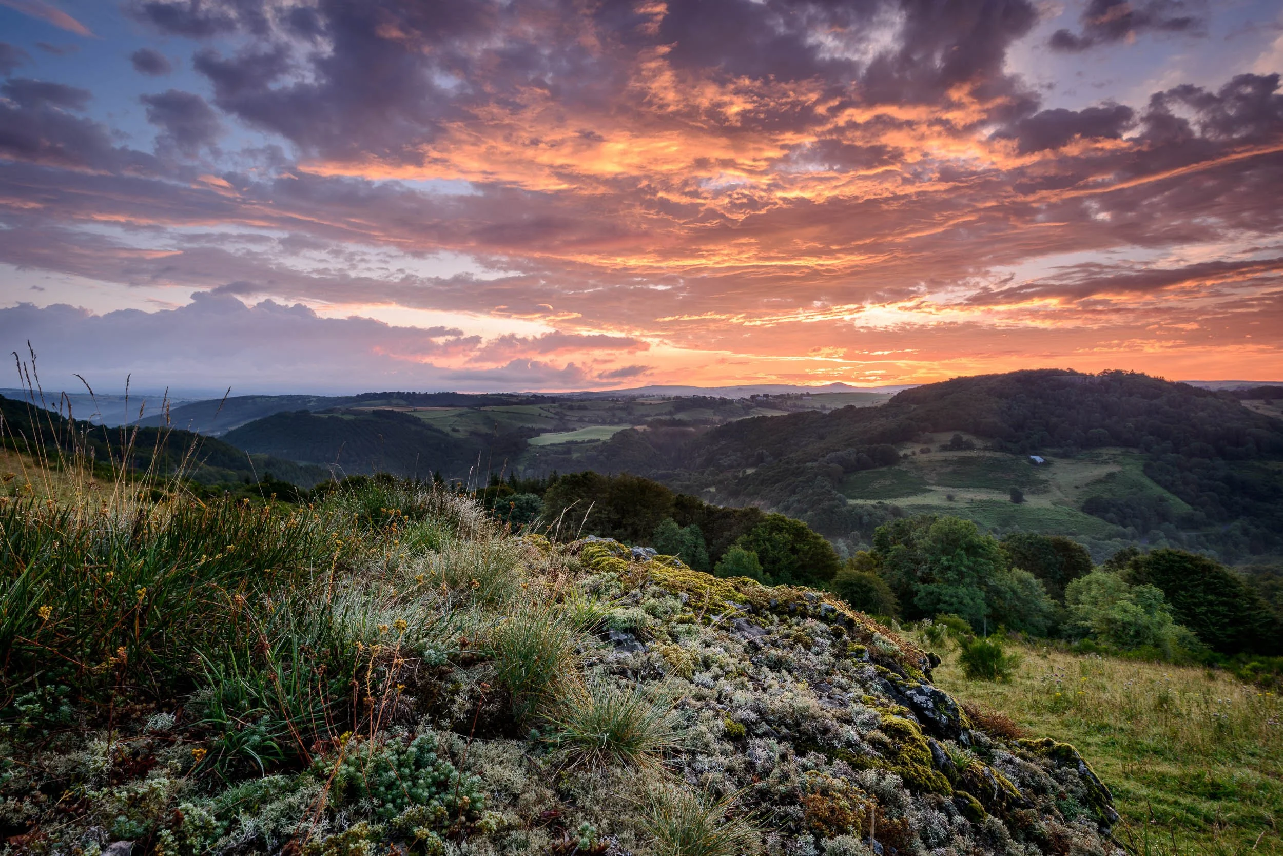 20140804_AUVERGNE_1253-Edit.jpg