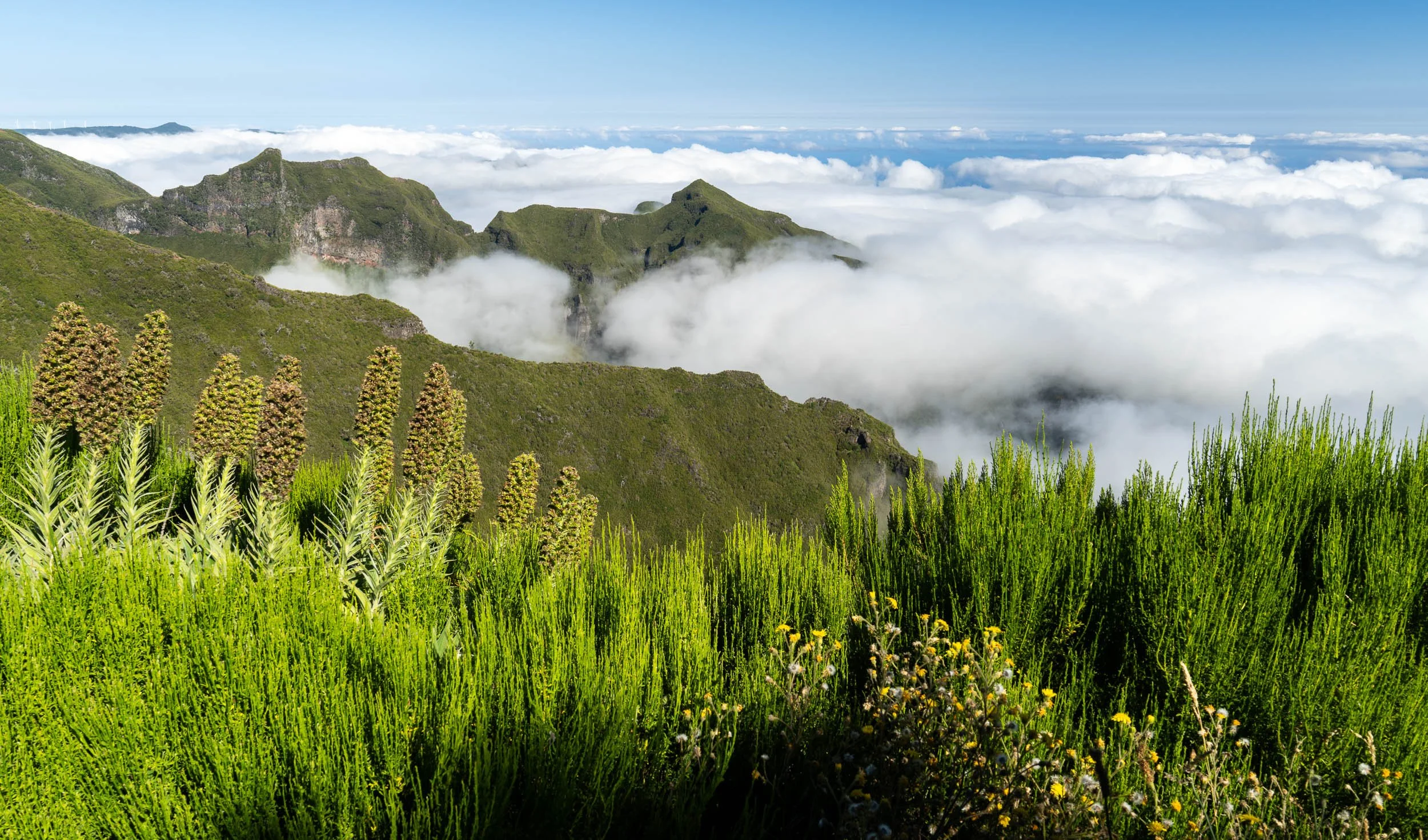 20230720_MADEIRA_00127.jpg