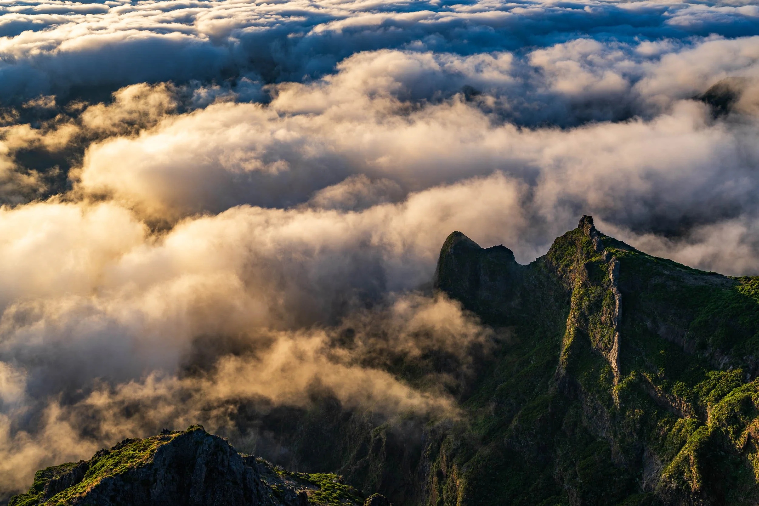 20230728_MADEIRA_1685.jpg