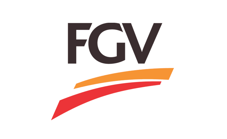 fgv.png