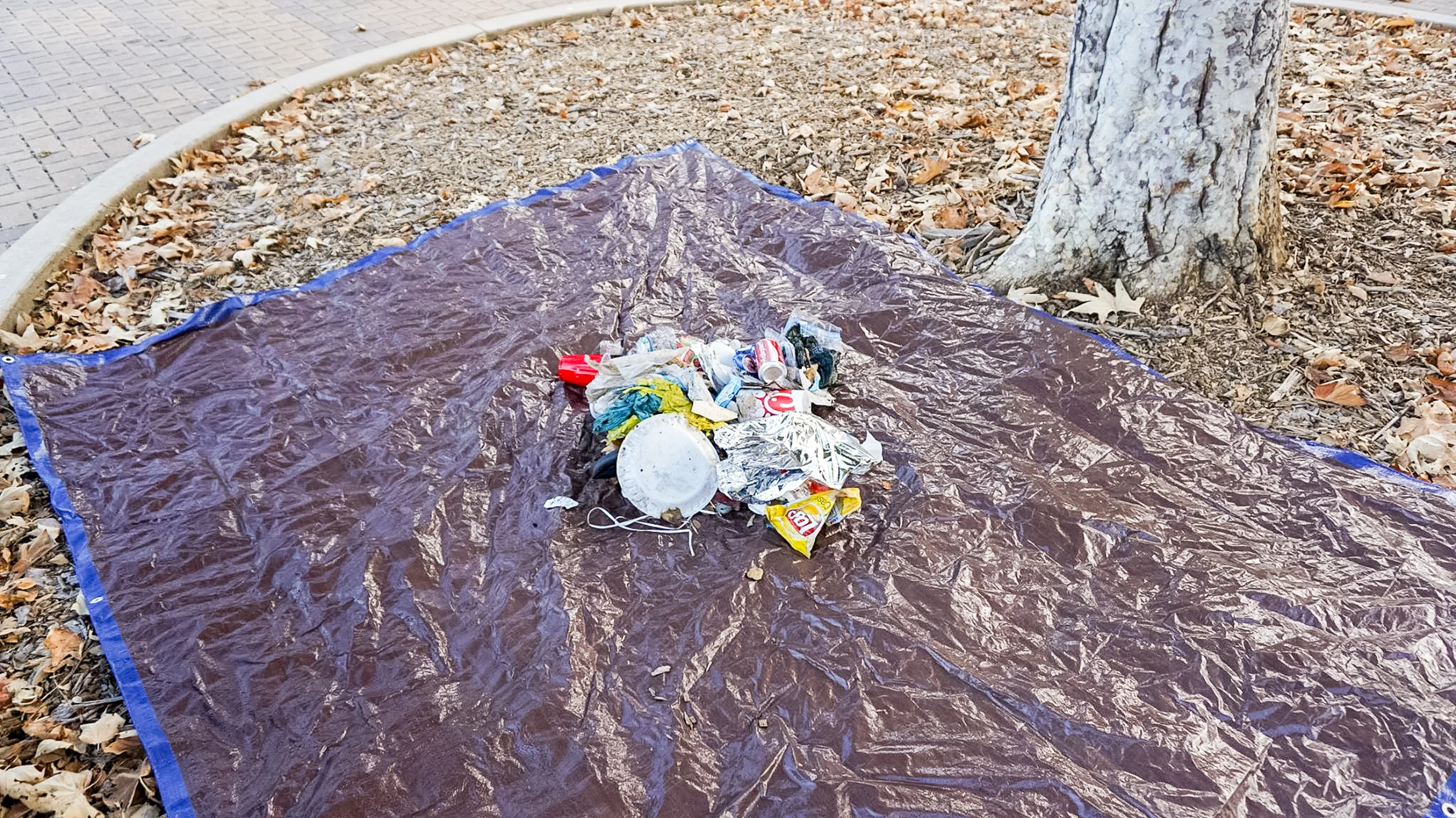 Oak Park-52.jpg