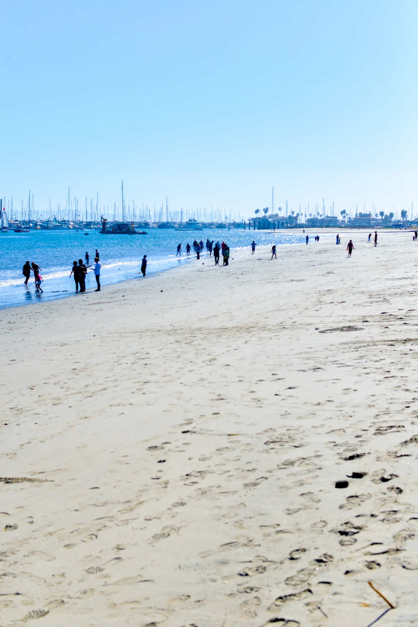 Sterns Wharf-5.jpg