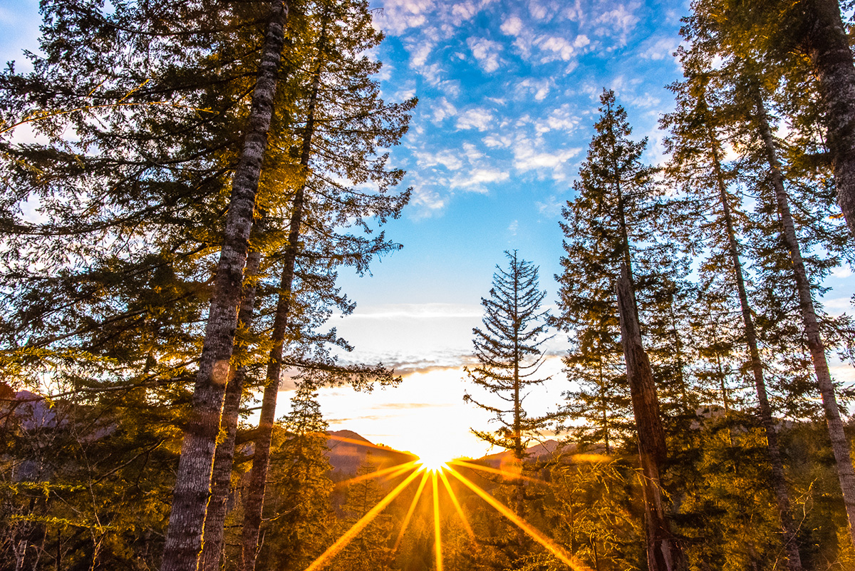 Setting sun, Trask River drainage