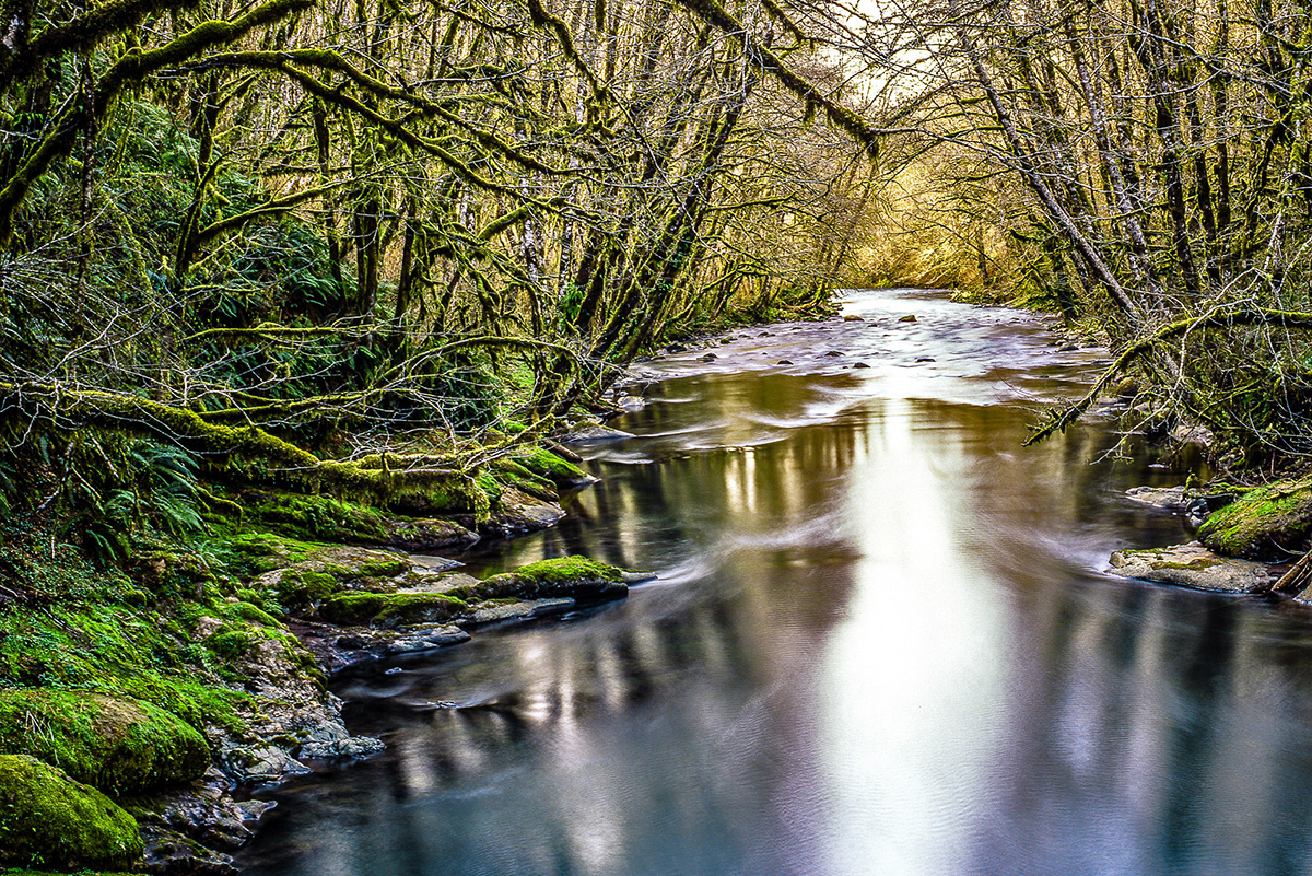 East Fork Trask River