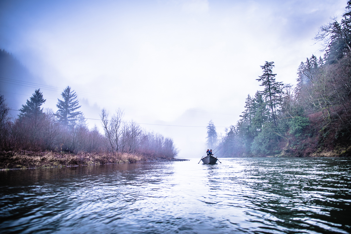  Winter steelheading, Wilson River 