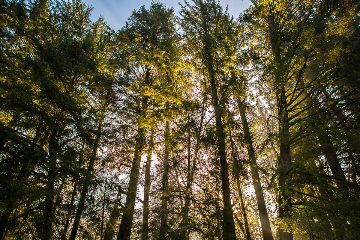  Hoquarten Slough, Tillamook 