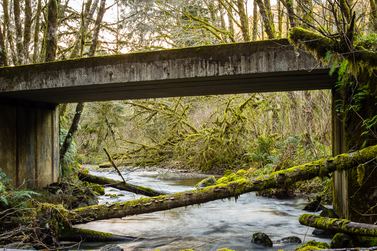  Open passage: Kilchis River Tribuary 