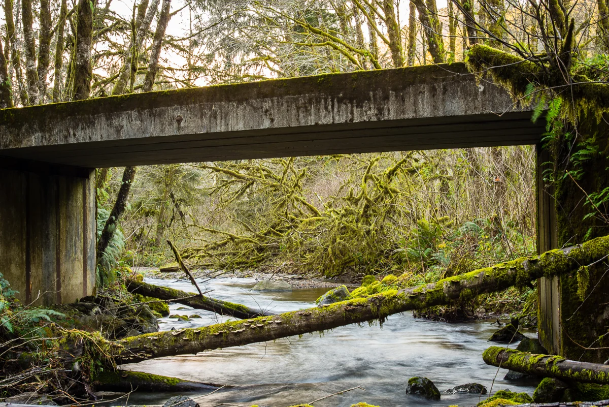Open passage: Kilchis River Tribuary