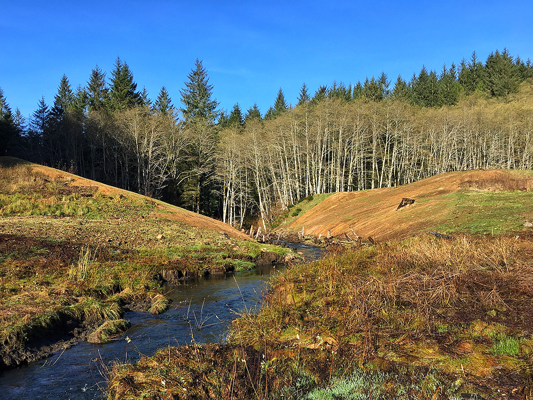  Replanted with native plants. Image courtesy of River Design Group. 