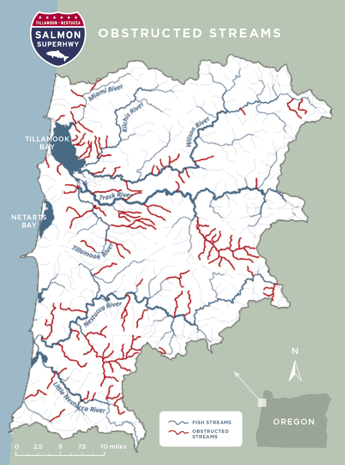Web map build PROBLEM.jpg
