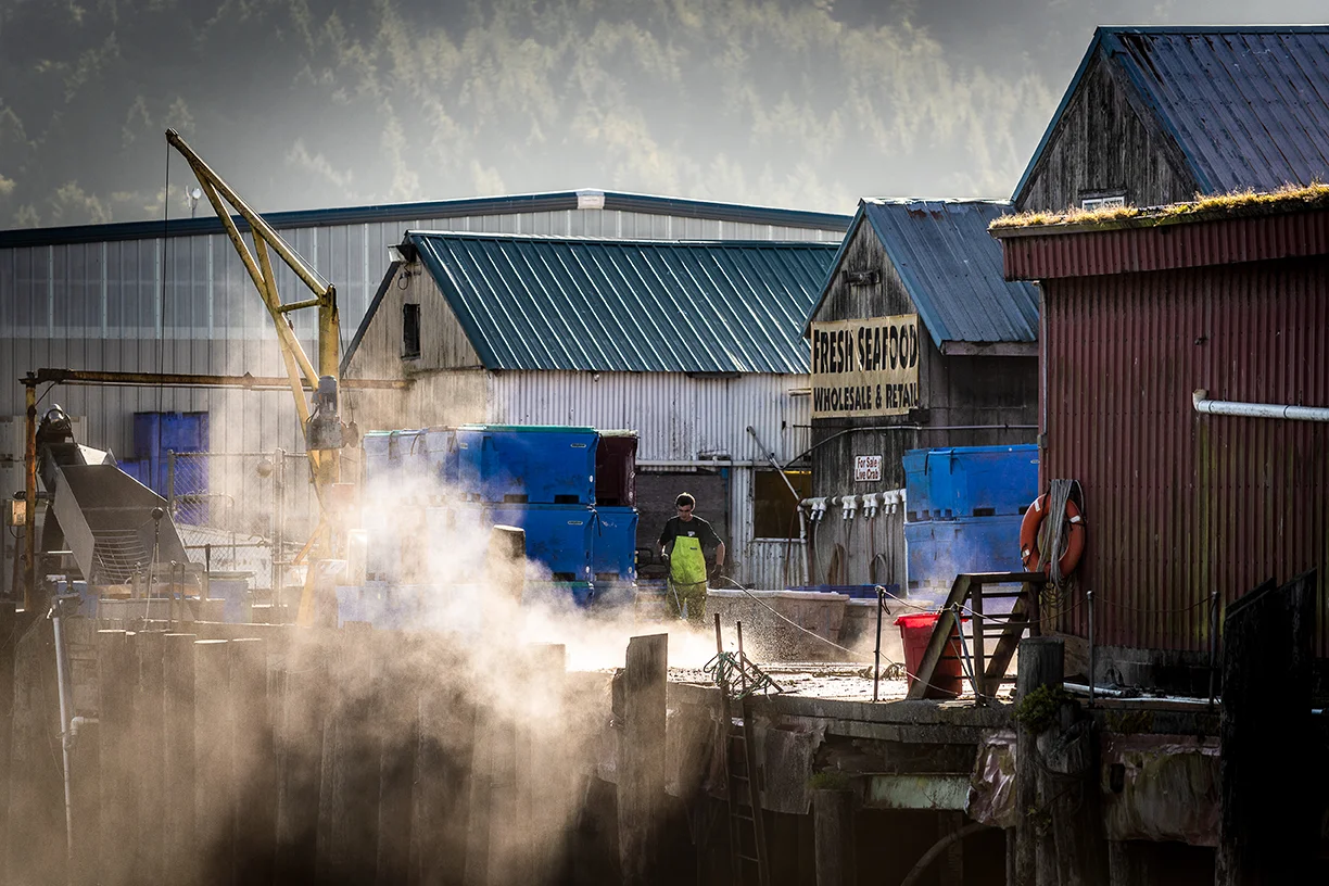 The Salmon Superhwy connecting communities, one fish at a time