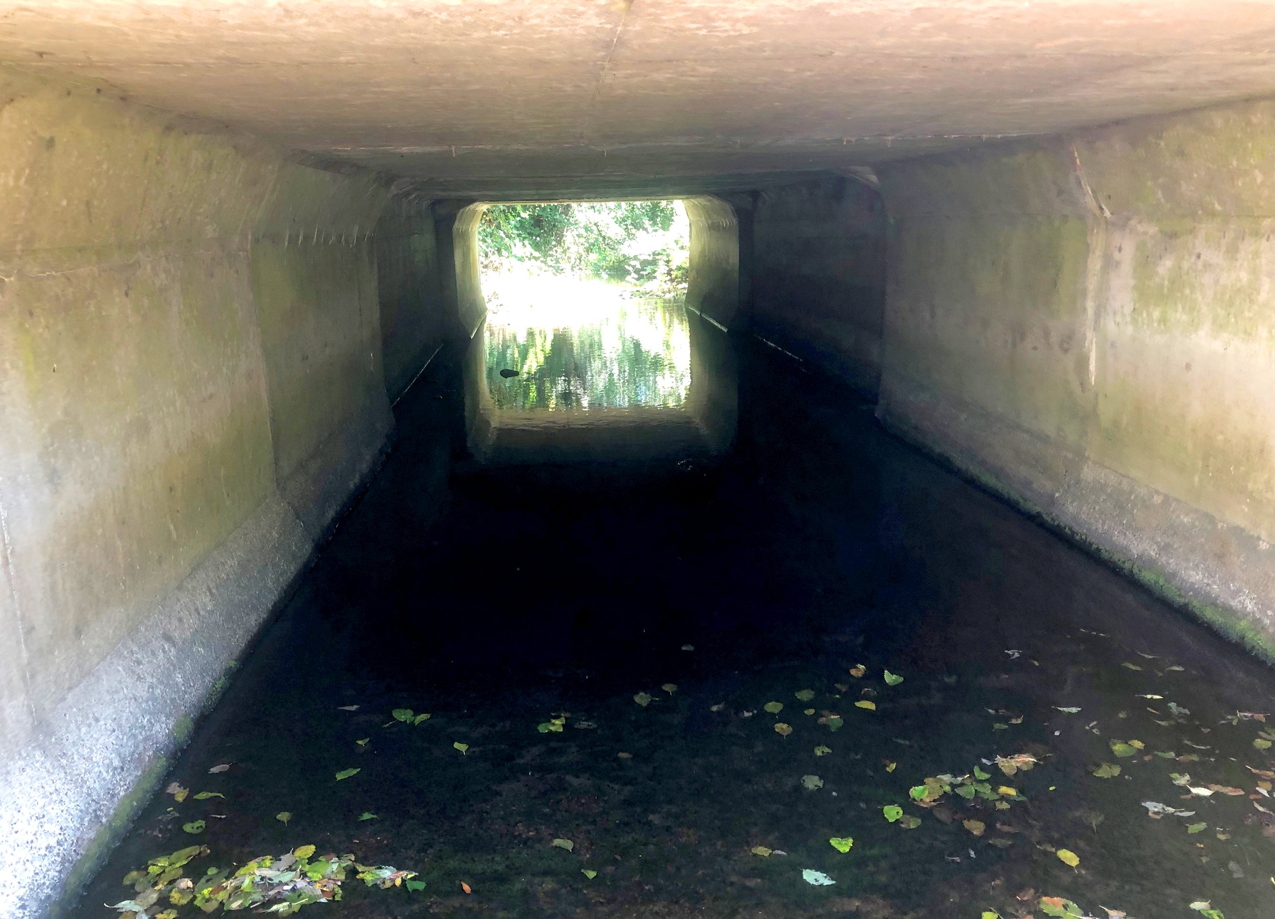 Culvert interior.jpg