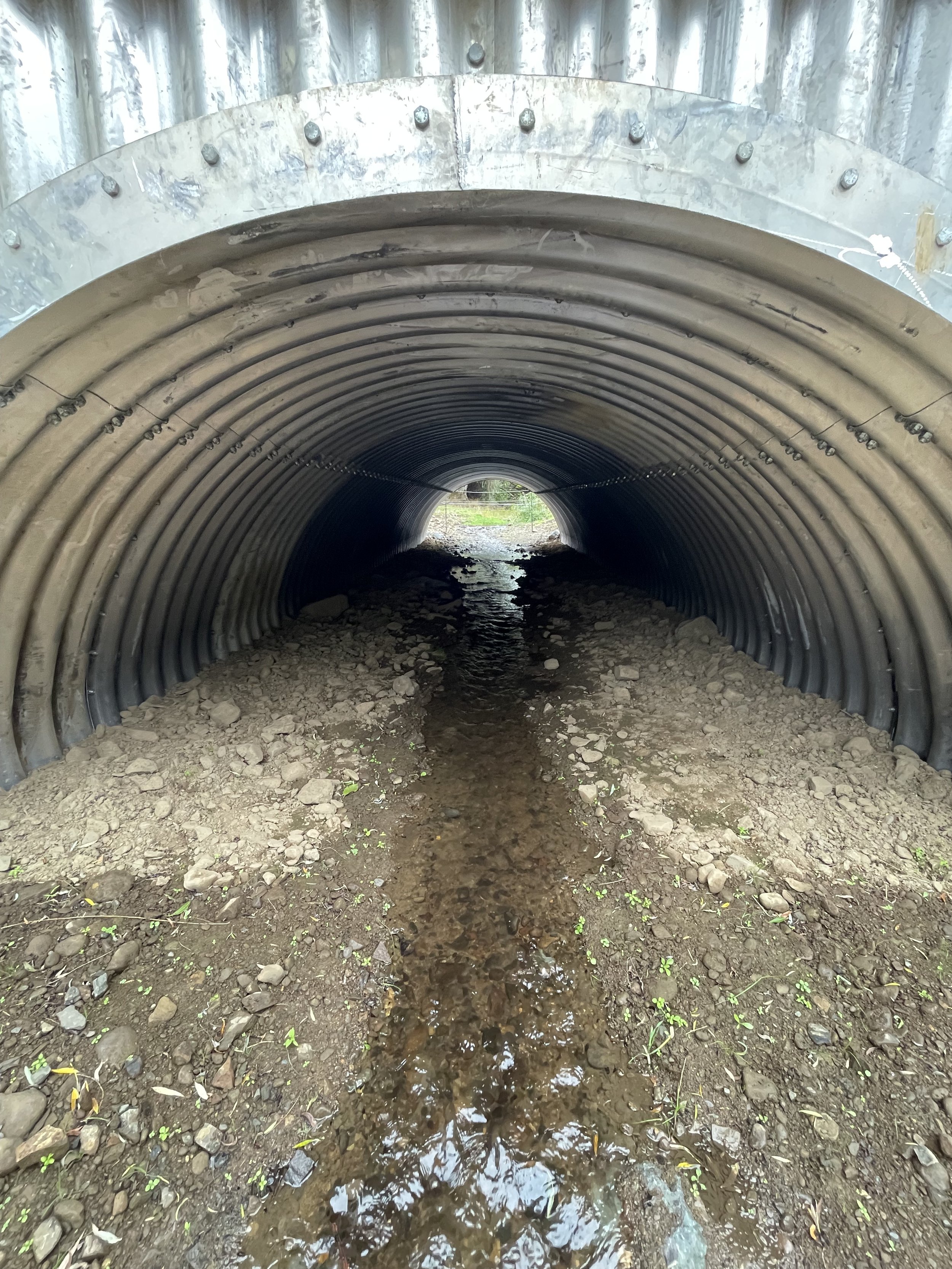 looking upstream through the culvert.jpeg