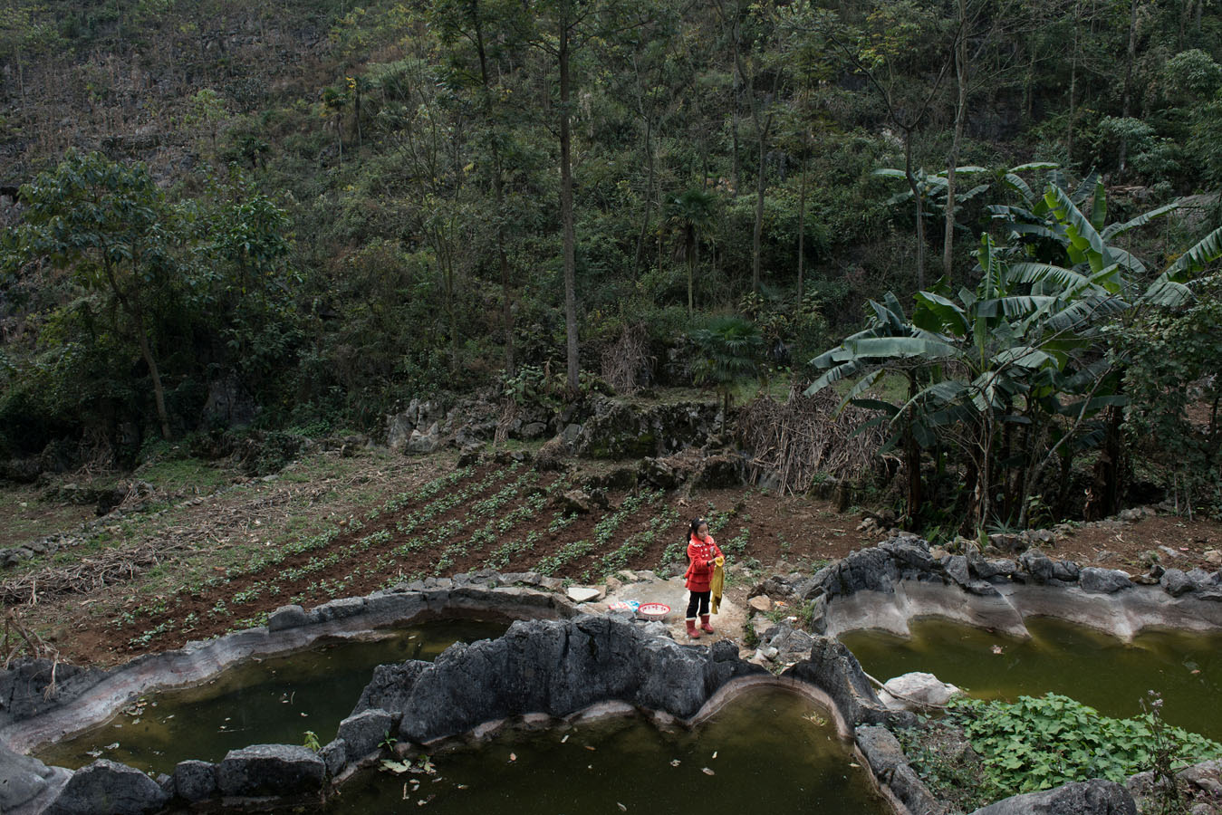 In Xingyi (Guizhou) 11 years old Hailian washing cloth in the village pond. The village has no running water and rain water is collected in ponds. It is this pond that Hailian's 3 years old little brother drowned a few months before. Like Hailian he was under the care of their 75 years old grandfather, as their parents are working hundreds of miles away in a factory. China has an estimated 61 million "left-behind" children -- one in five nationally -- that grow up without one or both of their parents. Around 30 million children under 18 have no parent at home and two million fend for themselves with no adult guardian. This is the consequence of the greatest human migration of all times, which brought hundreds of millions of peasants to cities in search of a better income, leaving in the process their children behind. 