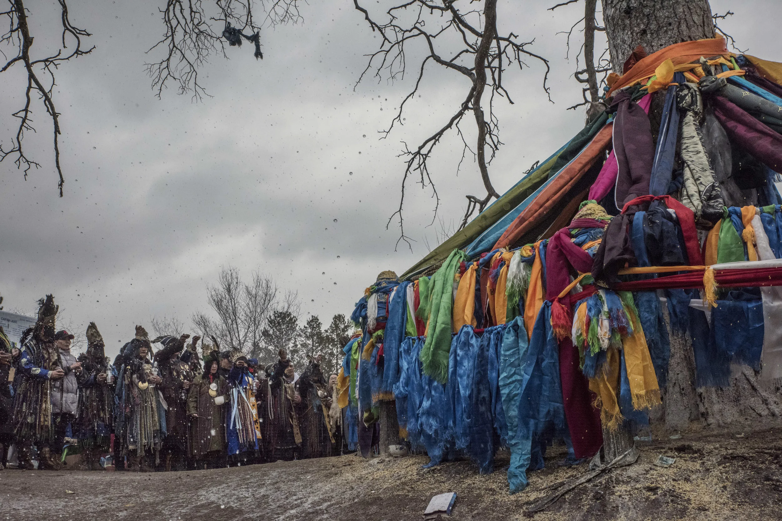 During a celebration of spring, in northern Mongolia, shamans have made a circle around the "mother tree" and throwing vodka at, it as an offering. Decades of this practice have killed the tree.