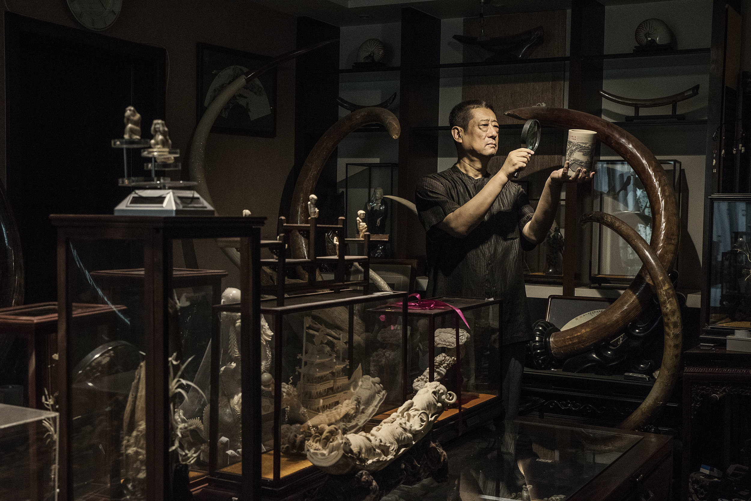  Chen Shu the president of the China Association of Mammoth Ivory Art Research, posing for a portrait at his apartment filled with Mammoth ivory carved objects and tusks.  