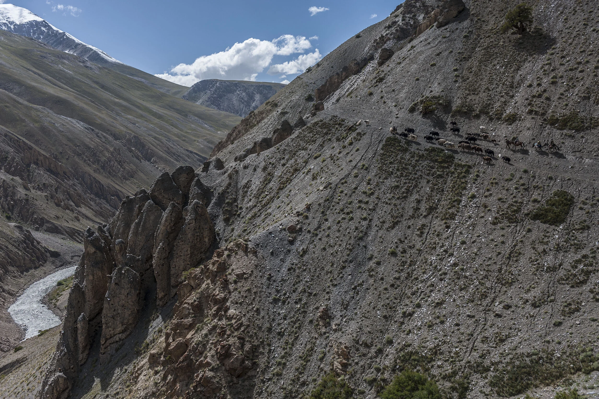 A group of Pashtun traders taking their recently purchased yaks along a steep gorge. During the short summer, traders from the lower plain of Afghanistan come to the Wakhan to buy yaks and sheeps from Wakhis and Kyrghyz nomads.