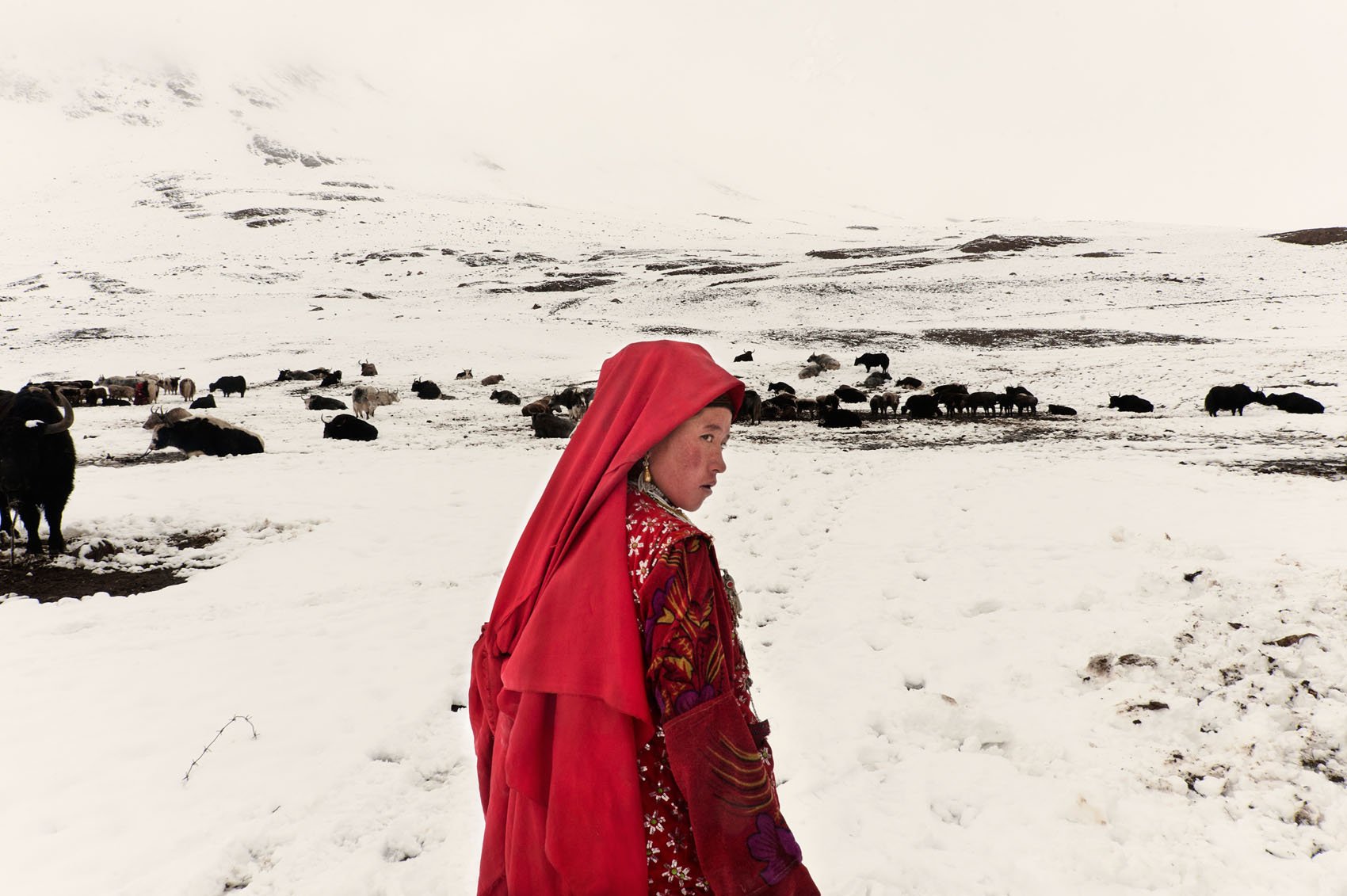 20100825_0956 r2.jpg