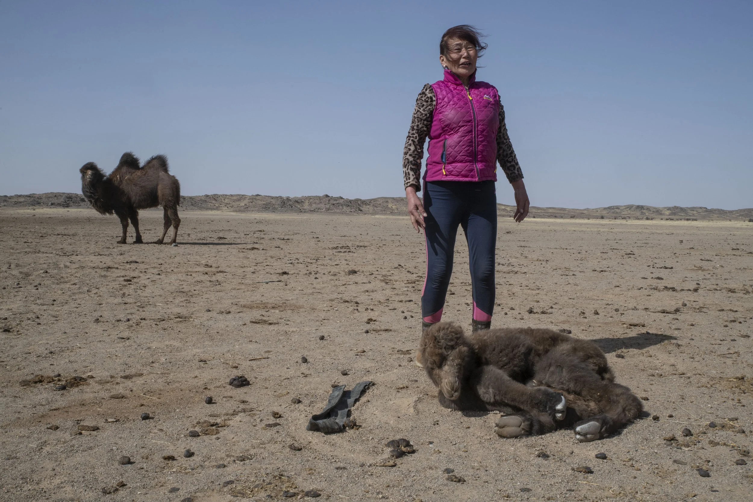 Oyu Tolgoi _030r.jpg