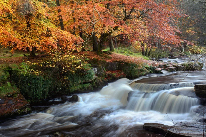 Autumn In some ways Autumn is the most beautiful time to visit Wales. A riot of colours awaits on the hillside and in the woods. Wildlife is abundant and the weather is often still warm. This is a great time of year to try out watersports and enjoy the fruits of the harvest at one of the many great food festivals.