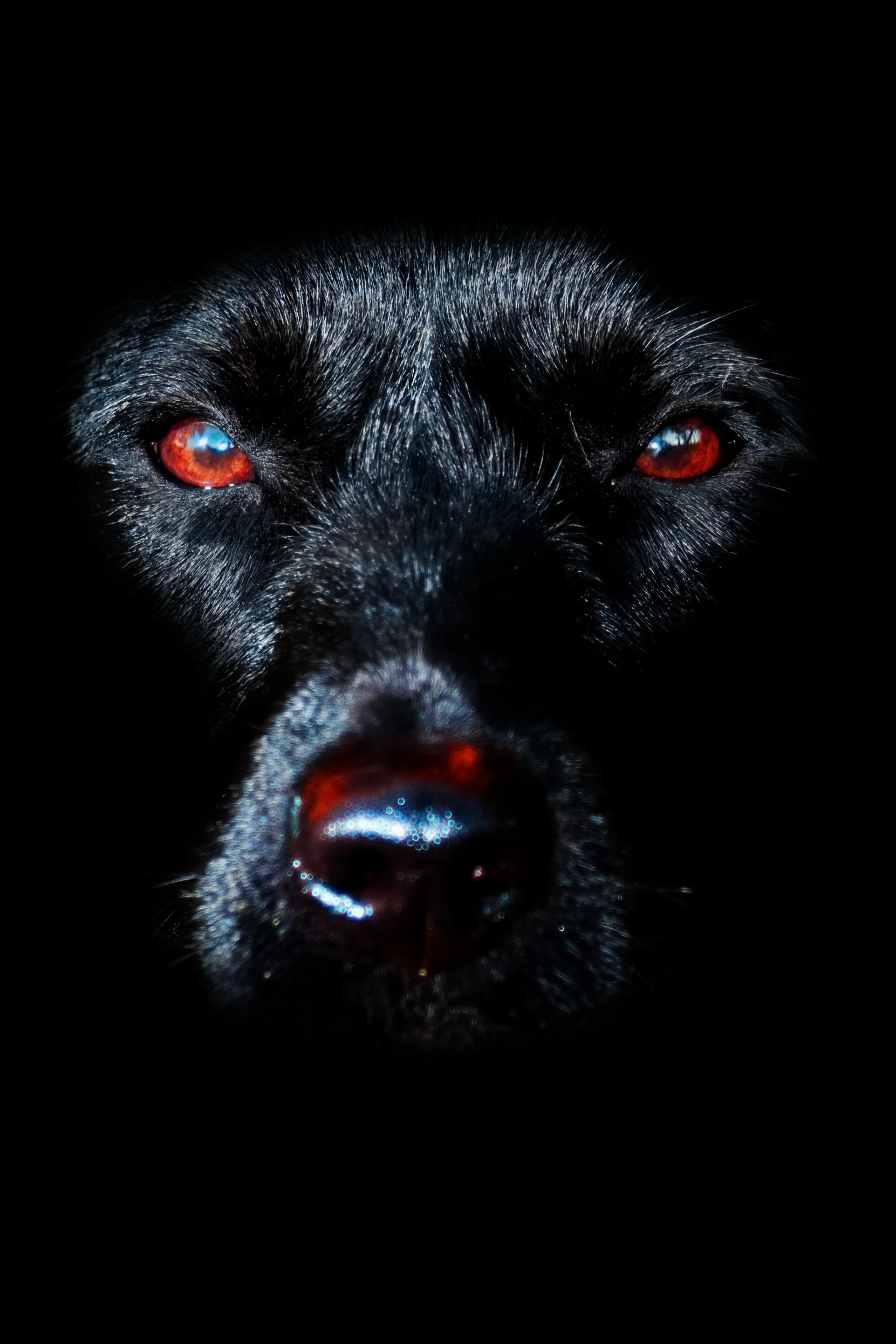 Photo by DANIEL-BARQUERO/iStock / Getty Images