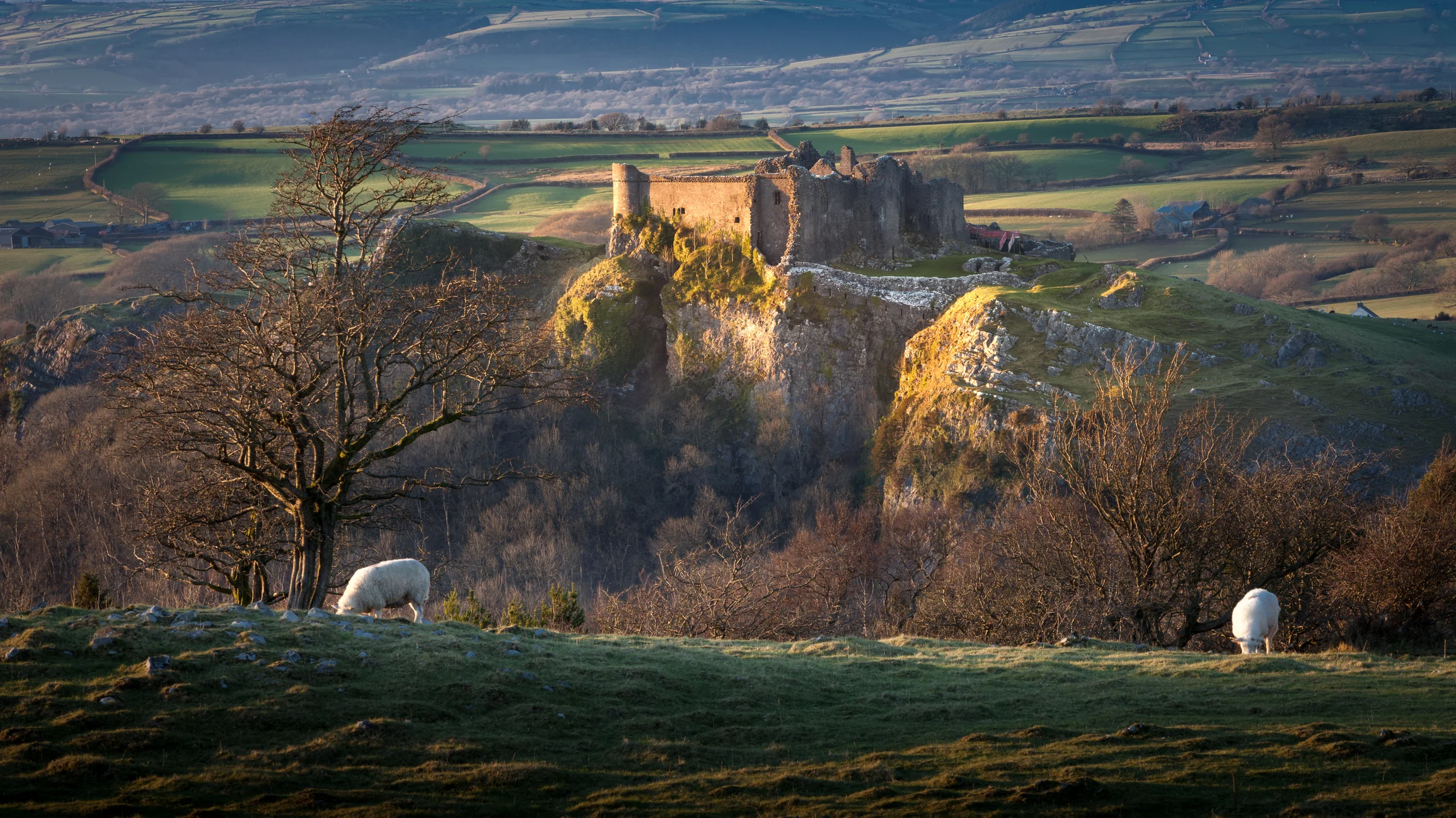 Photo by leighcol/iStock / Getty Images