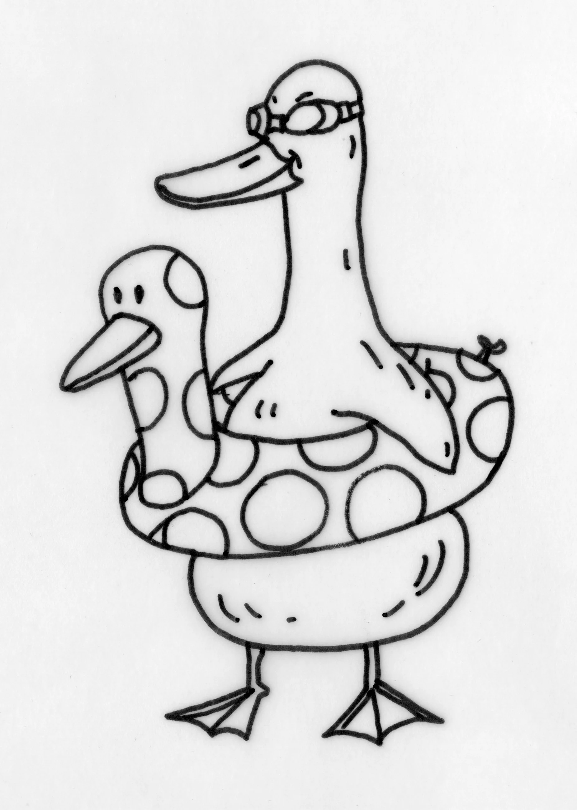 DUCK008.jpg