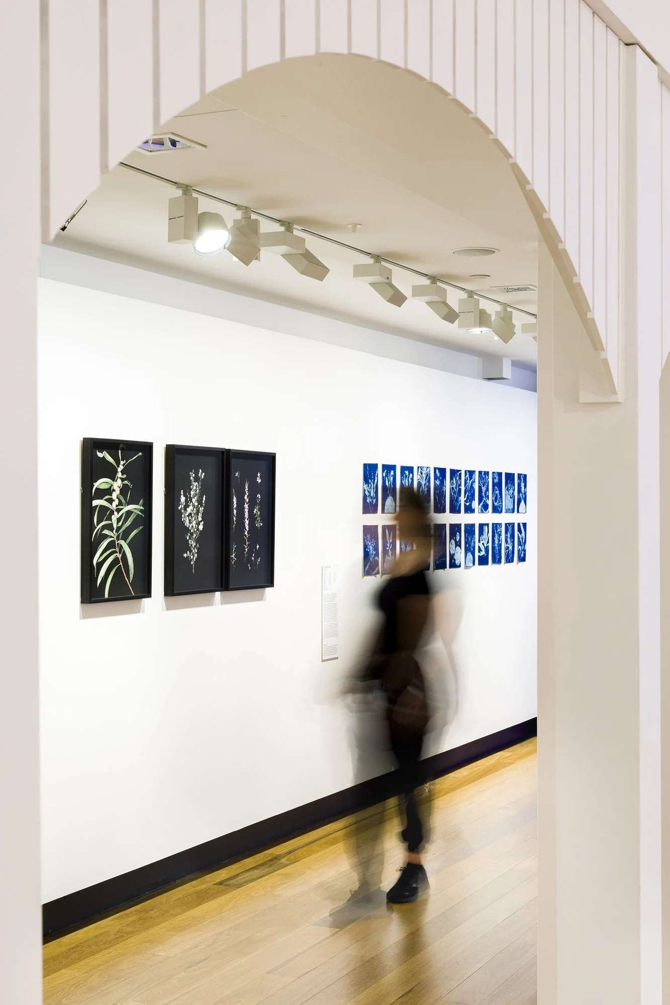 web ERB MoB 271224 005.jpg