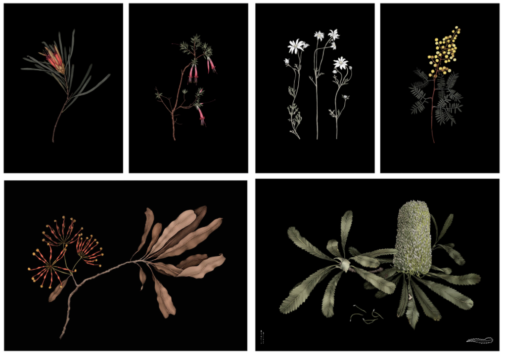 Screen Shot 2017-08-23 at 1.22.11 pm.png